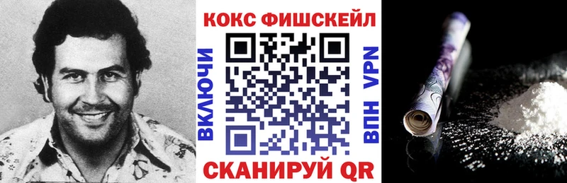 Cocaine Fish Scale  Купить  Арзамас 