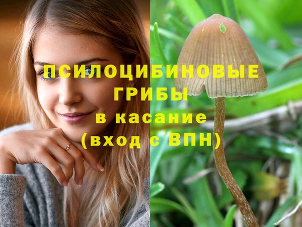хмурый Арсеньев