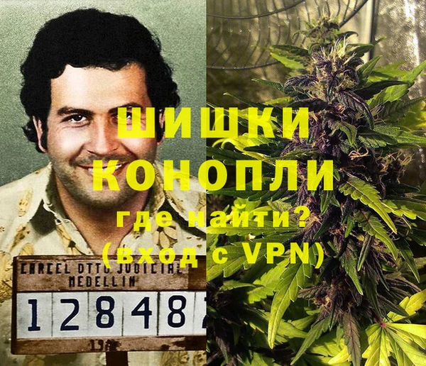 хмурый Арсеньев