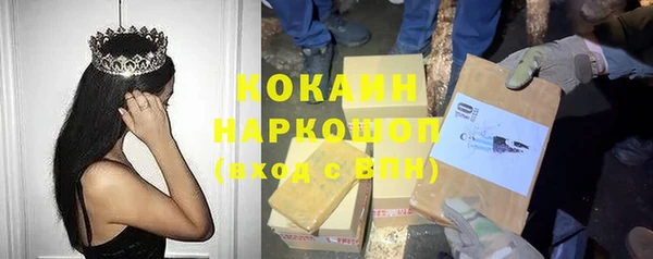 хмурый Арсеньев