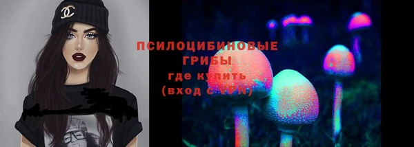 гидра Армянск
