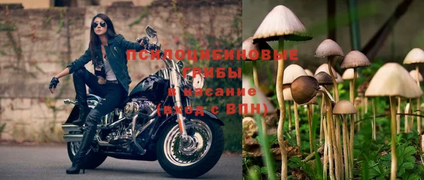 спиды Балабаново