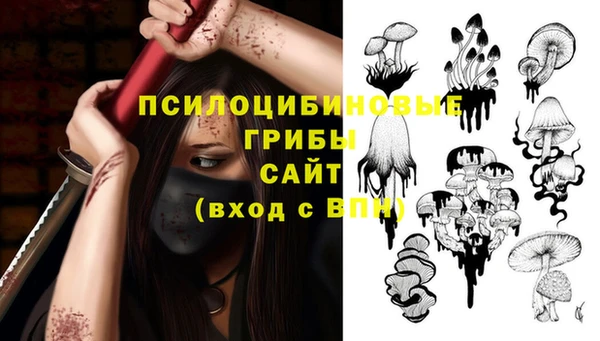хмурый Арсеньев