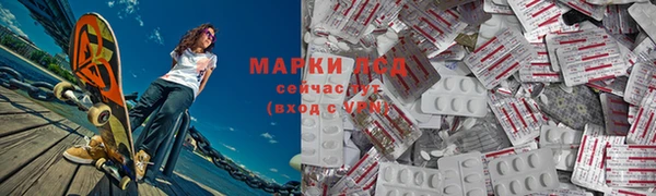 хмурый Арсеньев